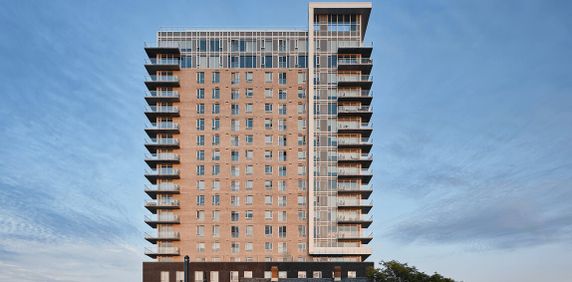 3 chambres* - 388 Boulevard Saint-Joseph, Gatineau - Photo 2