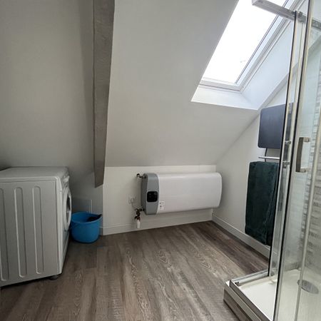 Location Appartement 1 pièce 18m² - Photo 3