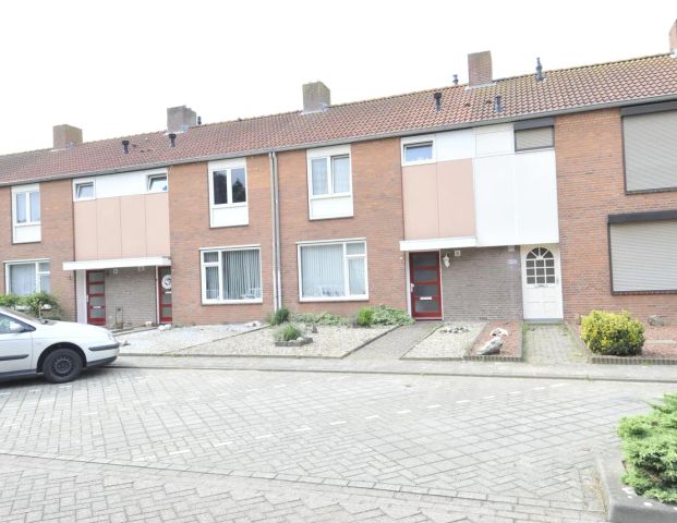Maison mitoyenne Wingerdstraat 56, Heythuysen - À Louer - Foto 1