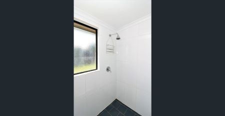 Dash Into Bakhash!! - Photo 3