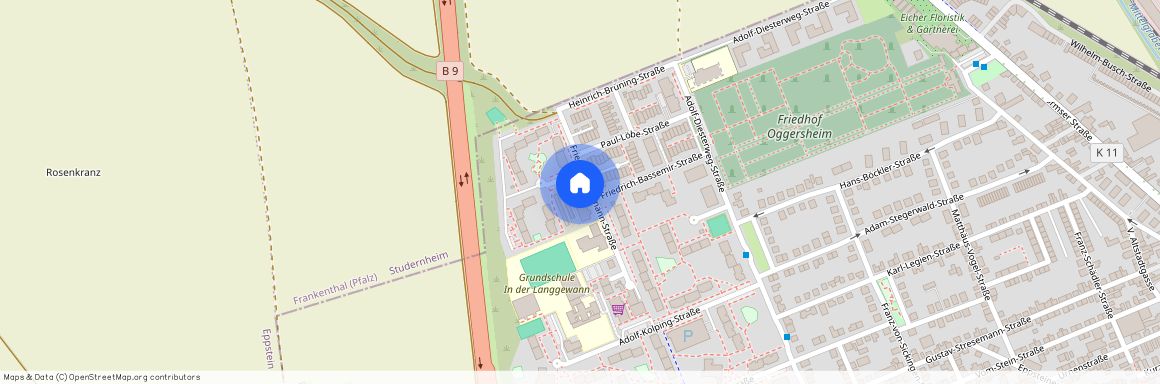 Friedrich-Naumann Straße 17, 67071 Ludwigshafen am Rhein