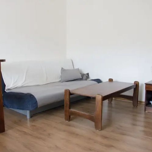 Pronájem cihlového bytu 1+1, ul. Masarykova - Photo 1