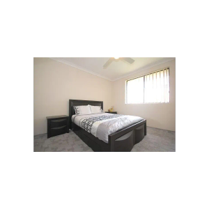 Hidden Treasure - Photo 2