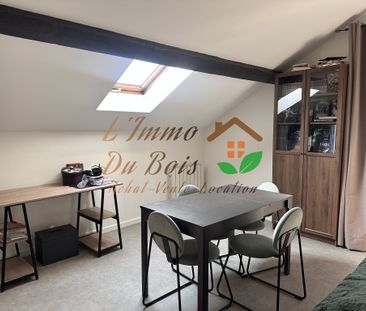 Location Appartement 2 pièces 44m² CHAVANAY 42410 - Photo 5