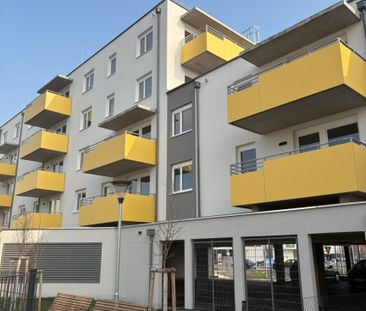 ERSTBEZUG „ein viertel grün“ in Wiener Neustadt - schöne 2 Zimmerwo... - Foto 4