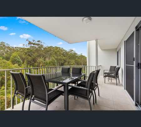 8 Starling Street, Buderim, Qld 4556 - Photo 2