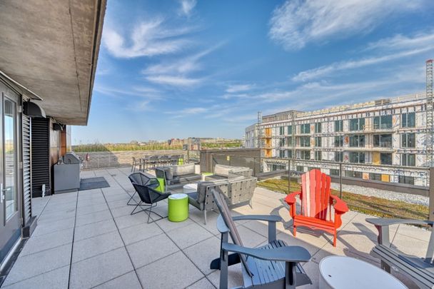 Appartement à louer - Montréal (Côte-des-Neiges/Notre-Dame-de-Grâce) (Côte-des-Neiges) - Photo 1