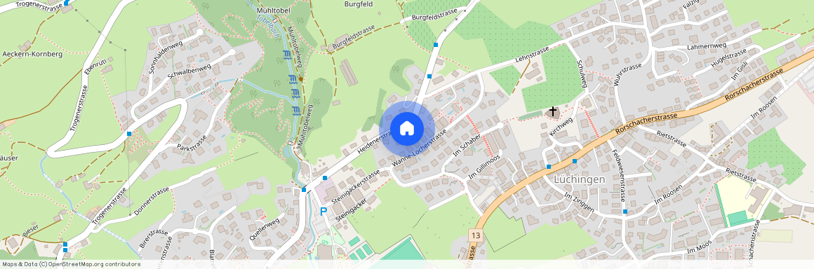 Heidenerstrasse 66, 9450 Altstätten SG