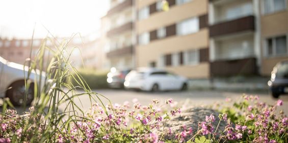 Kungsgatan 16 - Foto 3