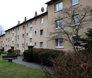 Gemütliche 3-Zimmer-Wohnung in Groß-Umstadt - jetzt bewerben ! - Photo 3
