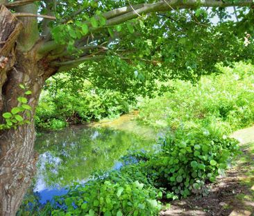 2 bedroom maisonette to rent - Photo 2