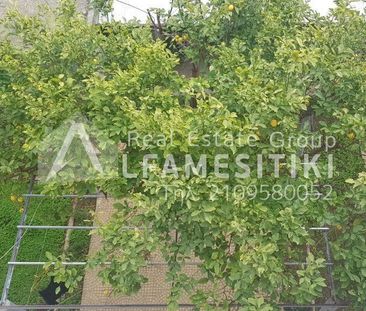 Μονοκατοικία για ενοικίαση Κέντρο (Περιστέρι) - Φωτογραφία 6