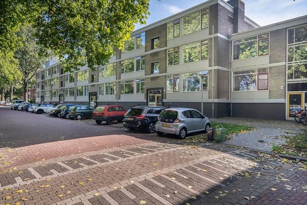 Te huur: Kamer Thorbeckestraat 56 1la in Arnhem - Photo 1