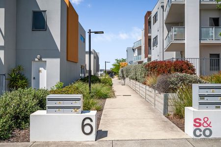 3/6 Sapling Street, Harrison ACT 2914 - Townhouse For Rent | Domain - Photo 3