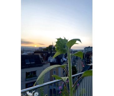 1½ Zimmer-Dachwohnung in Zürich - Kreis 3 Sihlfeld, möbliert, auf Zeit - Photo 6