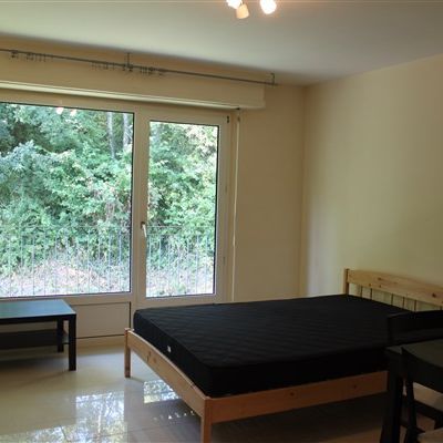 Location Appartement 1 pièce 26m² WISSEMBOURG 67160 - Photo 1