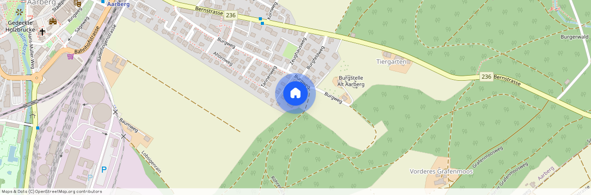 3270, Aarberg, Burgweg, 42