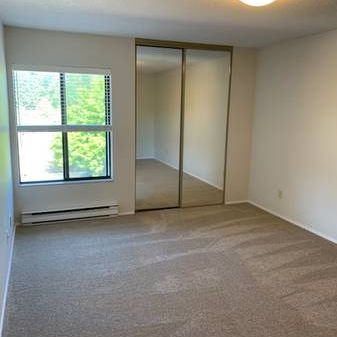 lovely spacious 2 bed 1.5 bath with in unit laundry! - Photo 1