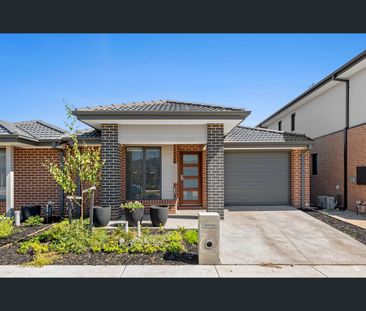 11 Mollyan Avenue, Charlemont, Vic 3217 - Photo 5