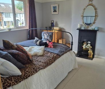298 Merville Garden Village Newtownabbey, BT37 9TT - Photo 4