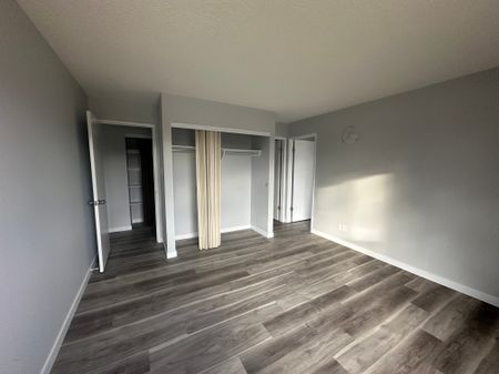 Small Pet Friendly Spacious 3-Bedroom Apartment - Photo 4