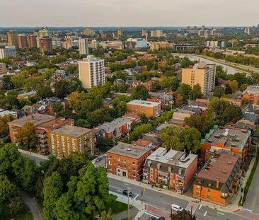 425 Elgin Street, Centretown, Ottawa, ON - Photo 3
