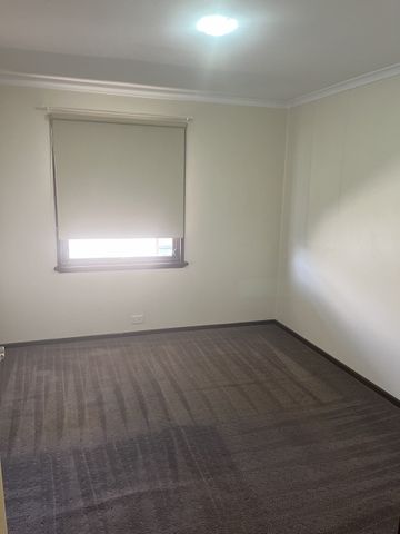 Don't Miss This 3x1 Well Located With A Large Backyard. - Photo 3