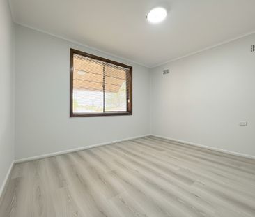 27 Kentucky Road, Riverwood NSW 2210 - House For Rent | Domain - Photo 4