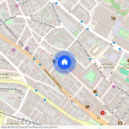 Avenue de France 58, 1004 Lausanne, VD