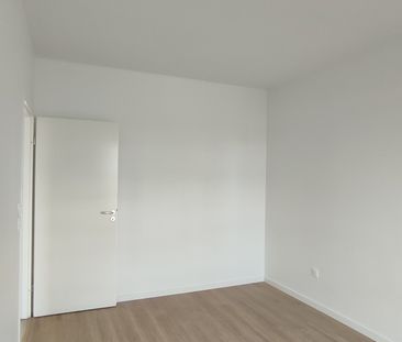 Location Appartement 3 pièces 61m² COLOMIERS 31770 - Photo 4