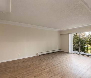 Renovated 1 Bedroom Suite - November 1st - $500 Gift Card! - Photo 1