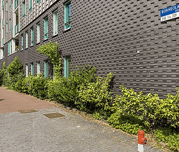 Borneolaan 295, 1019 HZ, Amsterdam - Photo 3