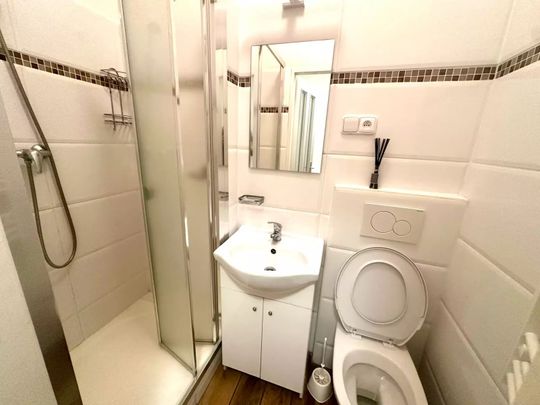 Byt 1+kk 10m2 k pronájmu v cihlovém domě, Rokytno 6, Rokytnice nad Jizerou, ze zahrady domu s krasným výhledem. - Fotografie 1