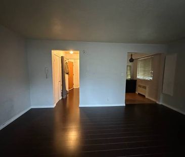 Large Bright 1 BR Apartment Available November 1, 2024 - Photo 2