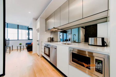 33 Rose Lane, Melbourne - Photo 5