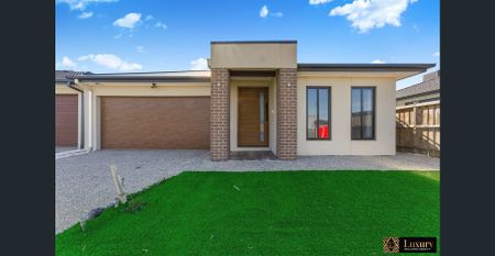 Modern Family Living in the Heart of Thornhill Park FOR LEASE! - Photo 4