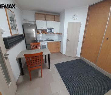 Pronájem bytu 1+1 v osobním vlastnictví 32 m², Znojmo - Photo 3