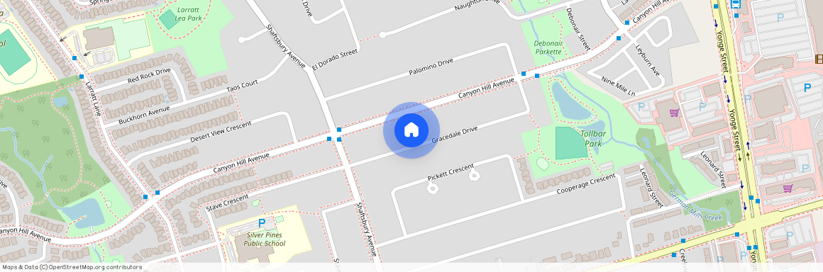 67 Gracedale Drive, Richmond Hill