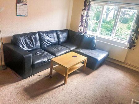 1 bed studio flat to rent in SR2 - Photo 4