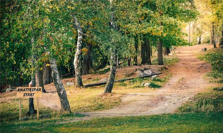 Välplanerad villa i barnvänligt område - Photo 5