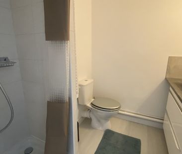 Location Appartement 1 pièce 16m² MONTPELLIER 34090 - Photo 4