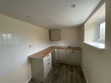 Stapledon Cottage, Holsworthy, EX22 - Photo 3