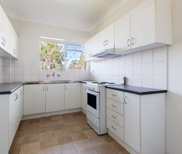 Extra Large Renovated Apartment - Photo 1