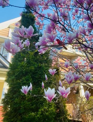 For Lease - 21 Wroxeter Avenue Unit# Upper, Toronto, Ontario - Photo 2