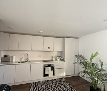 Room in a Shared Flat, Raffles House, SW17 - Photo 6