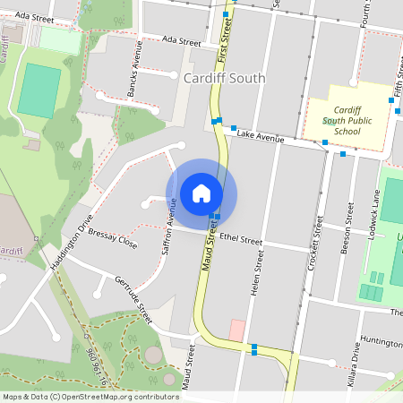 19 Maud Street, NSW 2285, Cardiff South