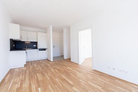 Straßgang – 34m² – 2 Zimmer – großer Balkon – ab 01.05.2025 - Foto 5