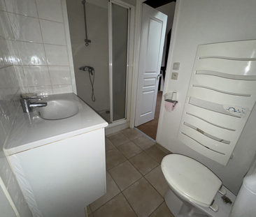 Location Appartement 1 pièce 17m² - Photo 3