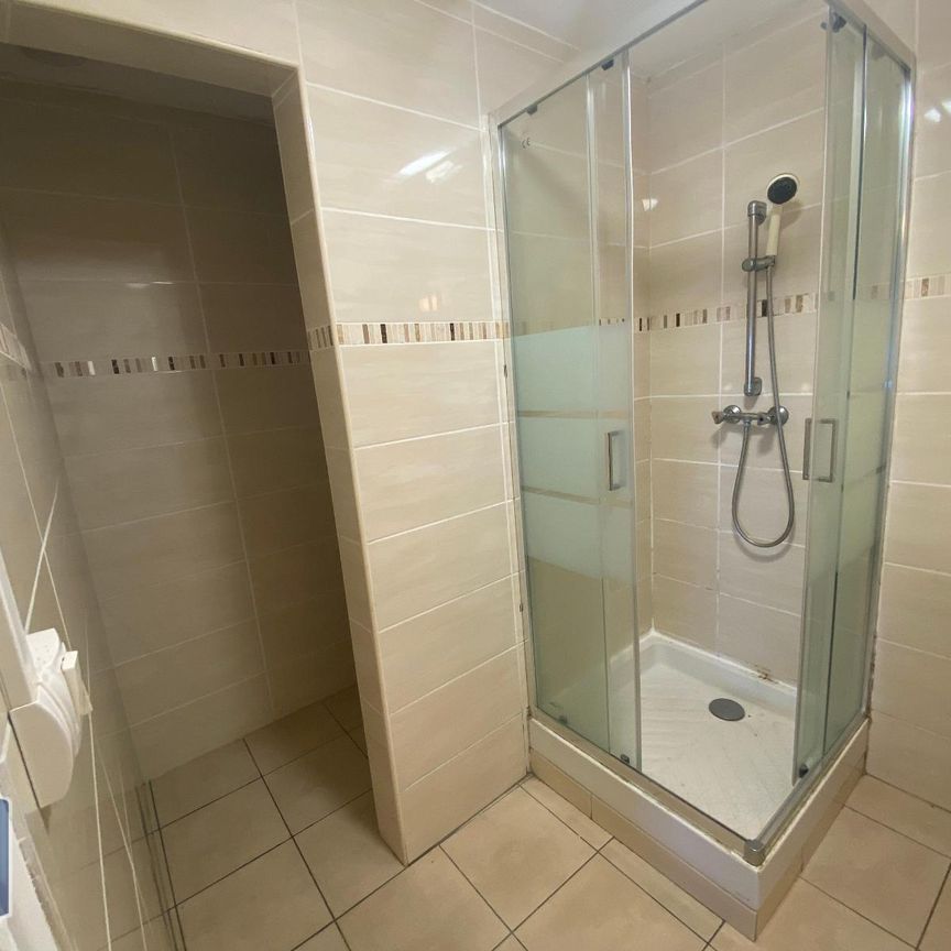 Location Appartement 1 pièce 19m² ST DENIS 97400 - Photo 1