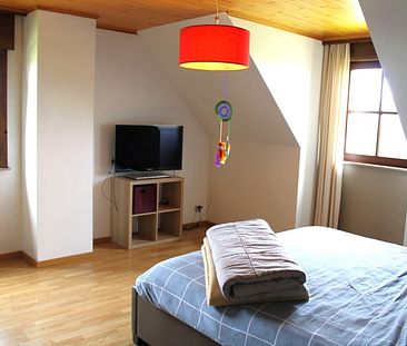 Landelijke, rustig gelegen, vrijstaande woning met 5 slaapkamers TE HUUR in Ingooigem! - Foto 6